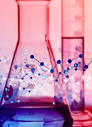 Biochemistry and Molecular biotechnology Department 