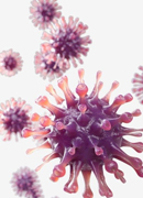 Microbiology and Immunology Department 